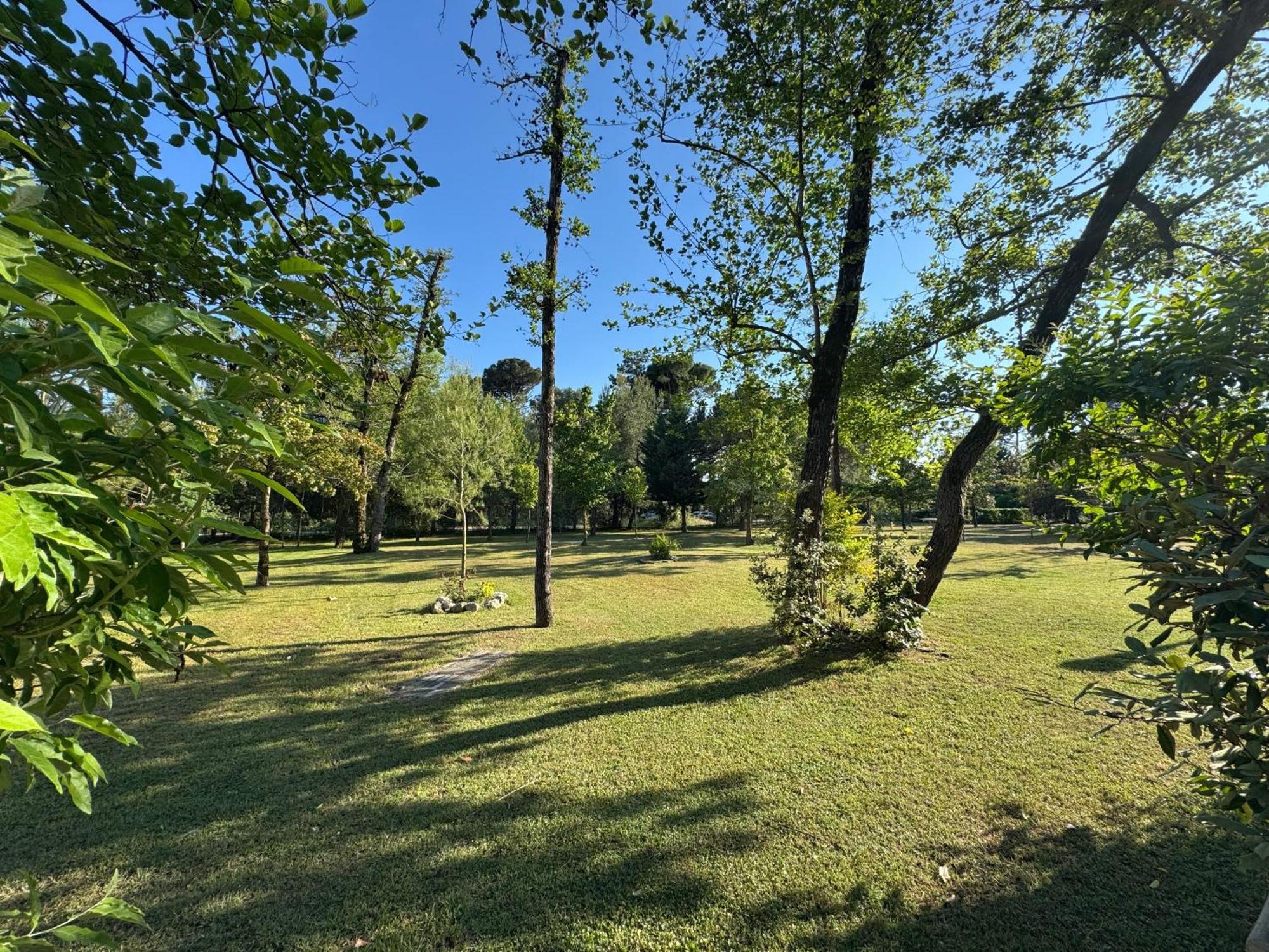 Residence Pinewood 比比翁 外观 照片